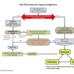 PALS Systematic Approach Algorithm Diagram for Post-Cardiac Arrest Care