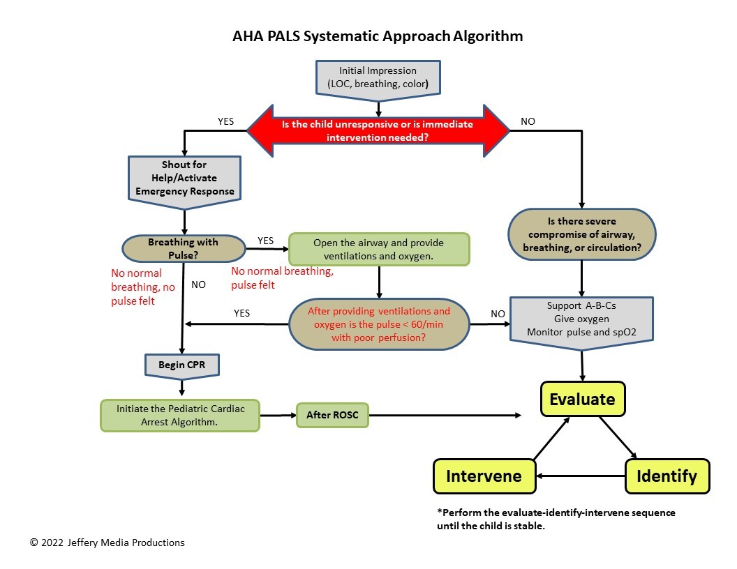 PALS Systematic Approach Algorithm Diagram for Post-Cardiac Arrest Care