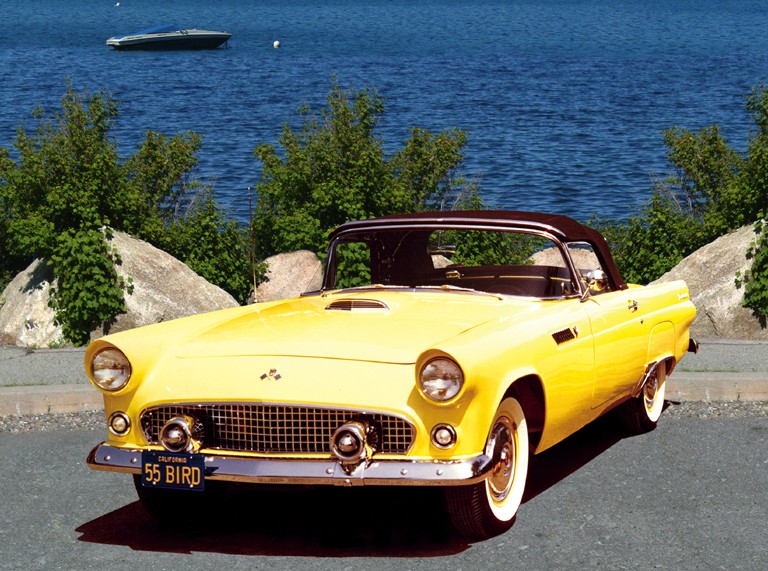 Find Your Ford Thunderbird Car Parts: Keeping the Classic Bird Alive