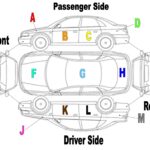 Diagram of car body parts with labels