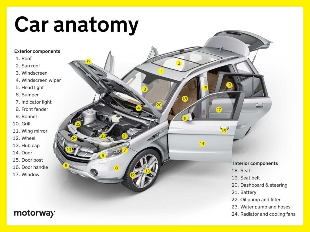 Diagram of car chassis and undercarriage components