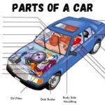 Detailed Parts of a Car Diagram: Explore the key components of a vehicle with this comprehensive visual guide, illustrating essential automotive parts and their locations.