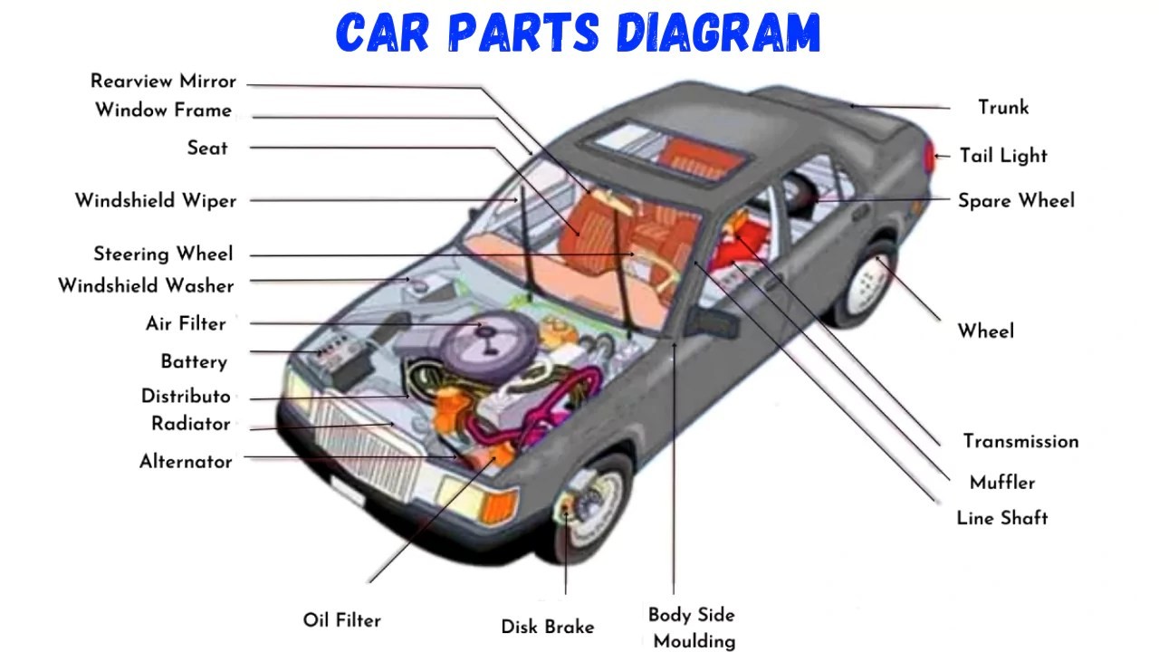 Detailed Parts of a Car Diagram: Explore the key components of a vehicle with this comprehensive visual guide, illustrating essential automotive parts and their locations.